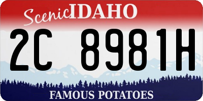 ID license plate 2C8981H