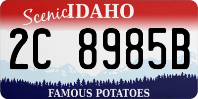 ID license plate 2C8985B