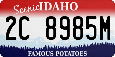 ID license plate 2C8985M