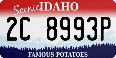ID license plate 2C8993P