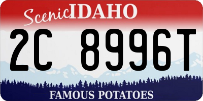 ID license plate 2C8996T