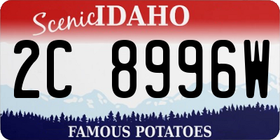 ID license plate 2C8996W