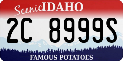 ID license plate 2C8999S