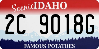 ID license plate 2C9018G