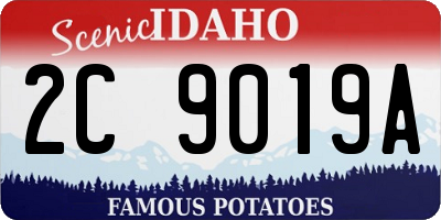 ID license plate 2C9019A