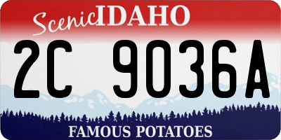 ID license plate 2C9036A