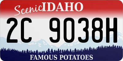 ID license plate 2C9038H