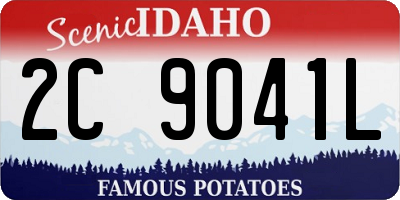 ID license plate 2C9041L