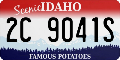 ID license plate 2C9041S