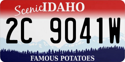 ID license plate 2C9041W