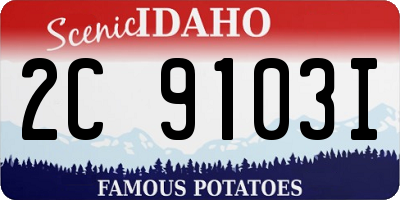 ID license plate 2C9103I