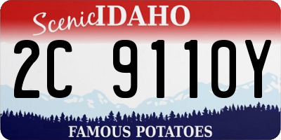 ID license plate 2C9110Y