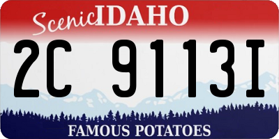 ID license plate 2C9113I