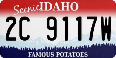 ID license plate 2C9117W
