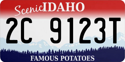 ID license plate 2C9123T