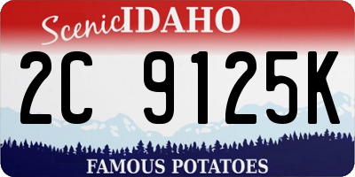 ID license plate 2C9125K