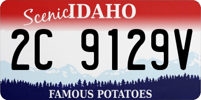 ID license plate 2C9129V