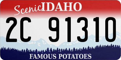 ID license plate 2C9131O