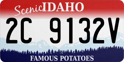 ID license plate 2C9132V