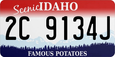 ID license plate 2C9134J