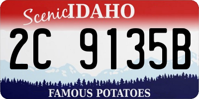 ID license plate 2C9135B