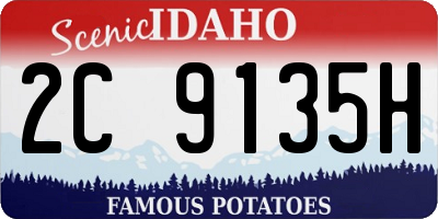 ID license plate 2C9135H