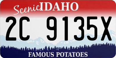 ID license plate 2C9135X