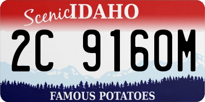 ID license plate 2C9160M