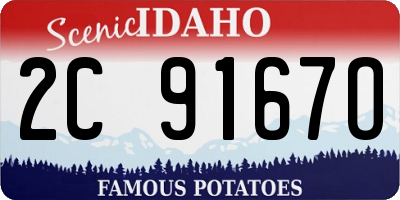 ID license plate 2C9167O