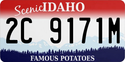 ID license plate 2C9171M