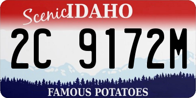ID license plate 2C9172M