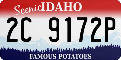 ID license plate 2C9172P