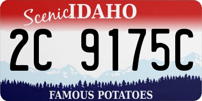 ID license plate 2C9175C