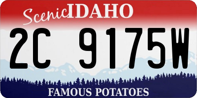 ID license plate 2C9175W