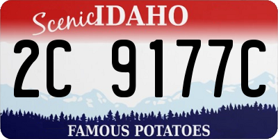 ID license plate 2C9177C