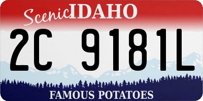 ID license plate 2C9181L