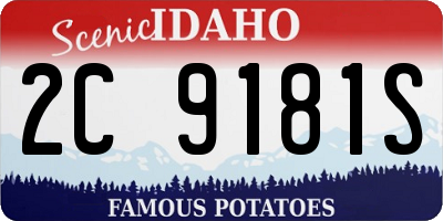 ID license plate 2C9181S