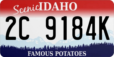 ID license plate 2C9184K