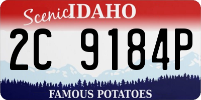 ID license plate 2C9184P