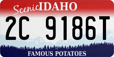 ID license plate 2C9186T