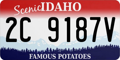 ID license plate 2C9187V