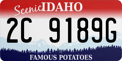 ID license plate 2C9189G