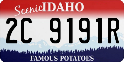ID license plate 2C9191R