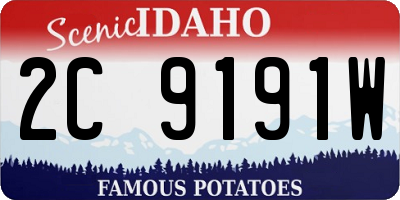 ID license plate 2C9191W