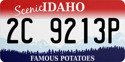 ID license plate 2C9213P
