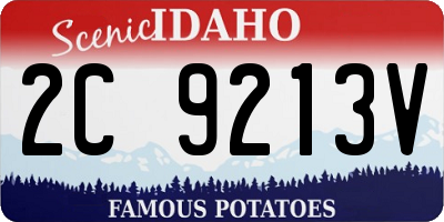 ID license plate 2C9213V