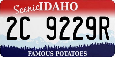 ID license plate 2C9229R