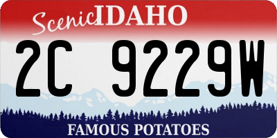 ID license plate 2C9229W