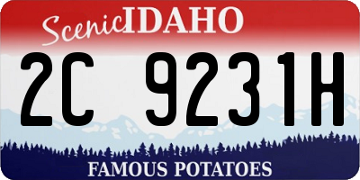 ID license plate 2C9231H