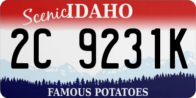 ID license plate 2C9231K